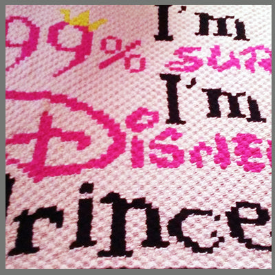 99 Percent Disney Princess Crochet Graphgan