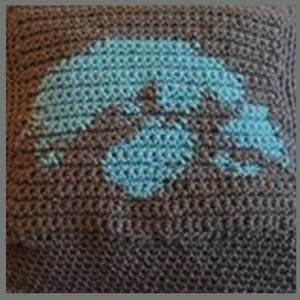 Custom Iowa University Hawkeyes Single Crochet Graphgan Pillow