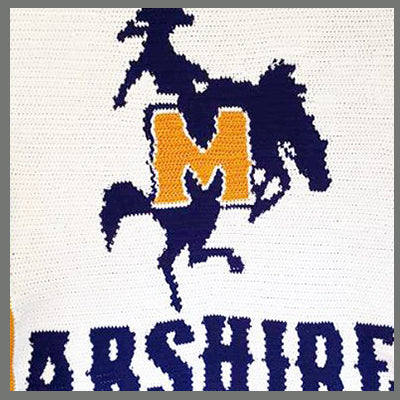 Custom Pattern Name and School Logo Single Crochet Graphgan