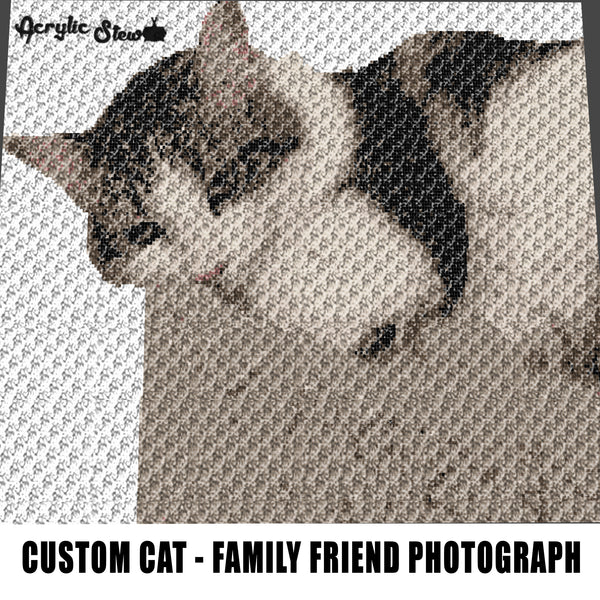 Custom Cat Beloved Family Friend Photograph crochet graphgan blanket pattern; c2c; single crochet; cross stitch; graph; pdf download; instant download
