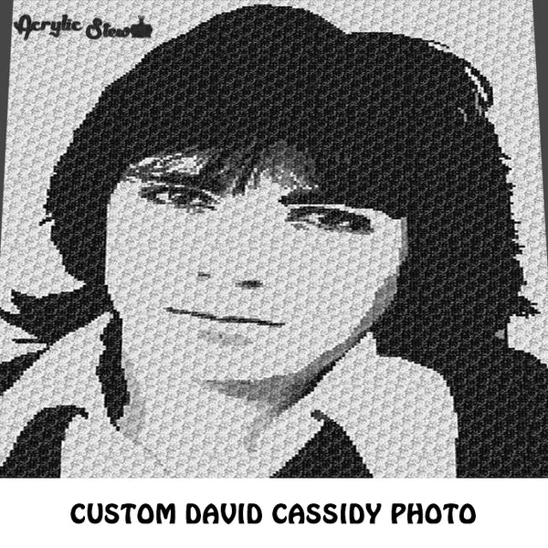 Custom David Cassidy Partridge Family Celebrity Black and White Photo crochet graphgan blanket pattern; c2c, cross stitch graph; instant download