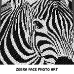 Zebra Face Photo Alpha Animal Photography Art crochet graphgan blanket pattern; c2c, cross stitch graph; pdf download; instant download