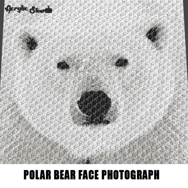 Polar Bear Face Animal Photography Art crochet graphgan blanket pattern; graphgan pattern, c2c, knitting, cross stitch graph; pdf download; instant download
