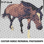 Custom Horse Equine Memorial Photograph crochet graphgan blanket pattern; c2c, cross stitch graph; pdf download; instant download